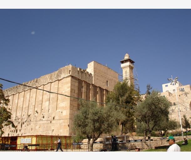 alarab