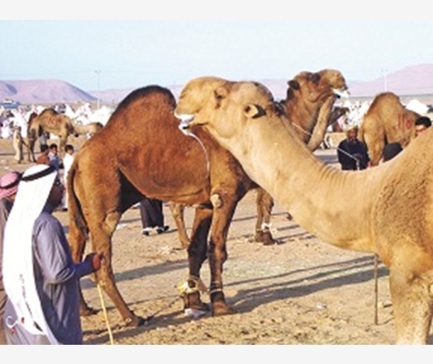 alarab