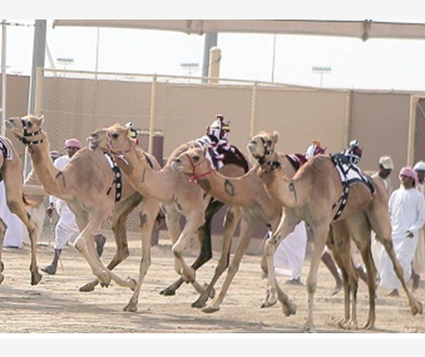 alarab