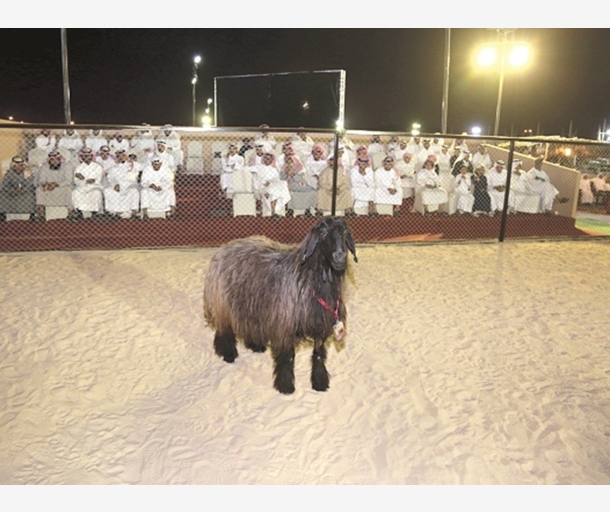 alarab