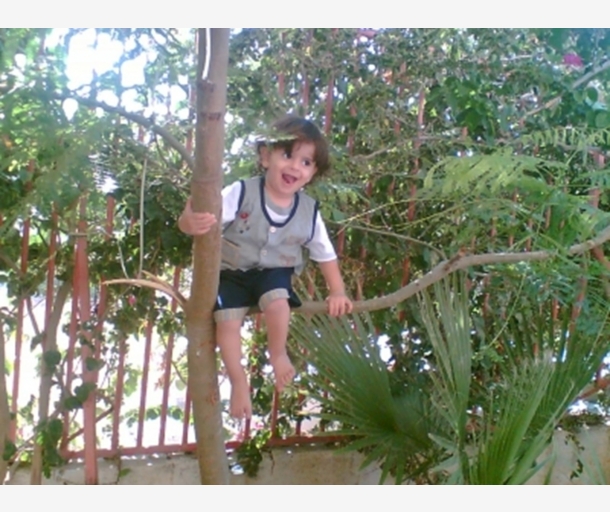 alarab