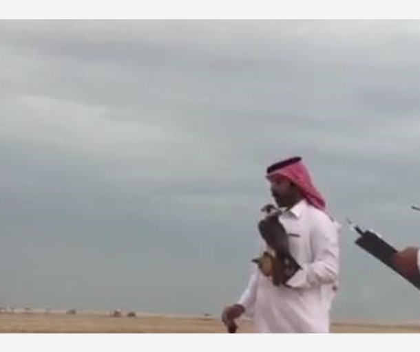 alarab