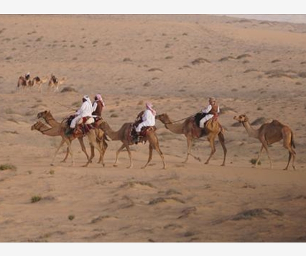 alarab