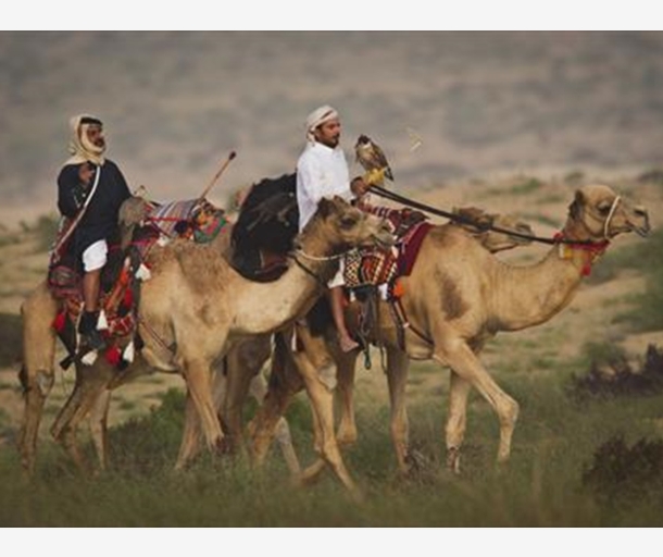 alarab