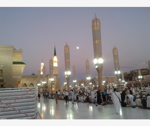 alarab