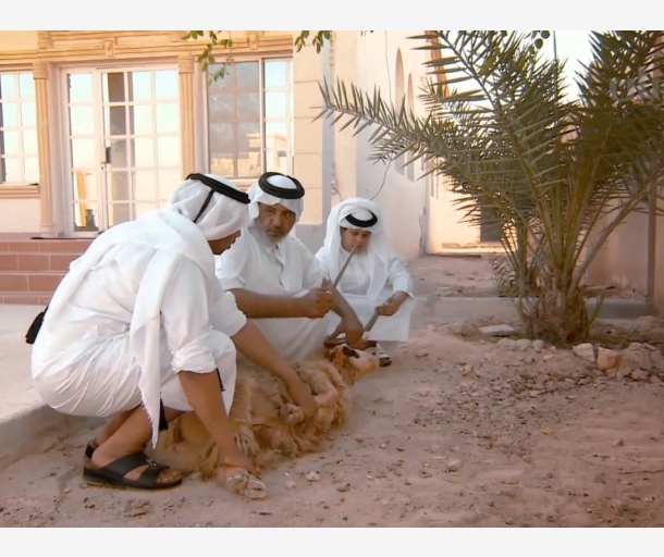 alarab