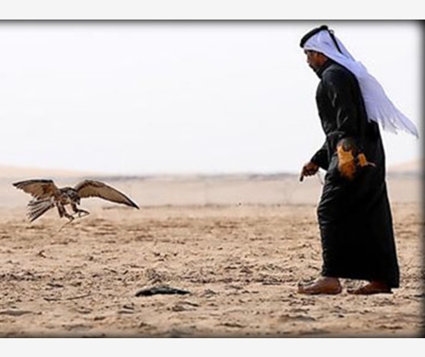 alarab