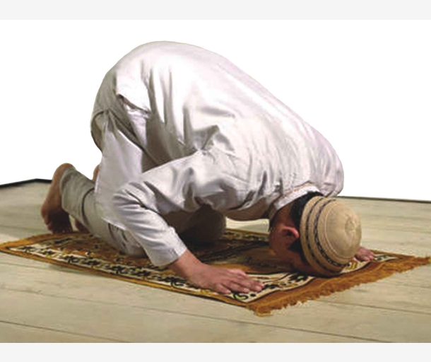 alarab