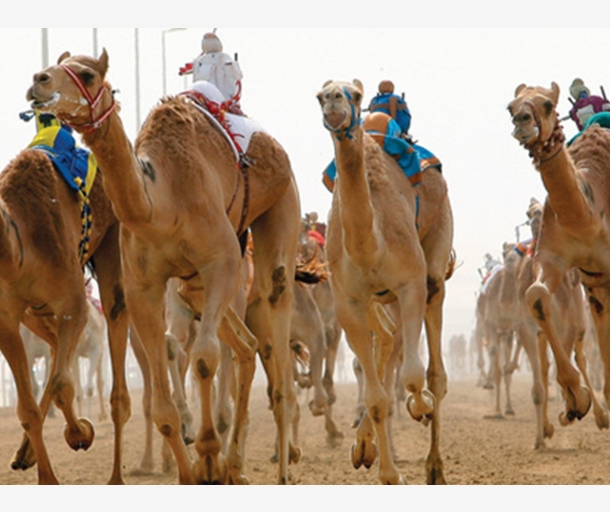 alarab
