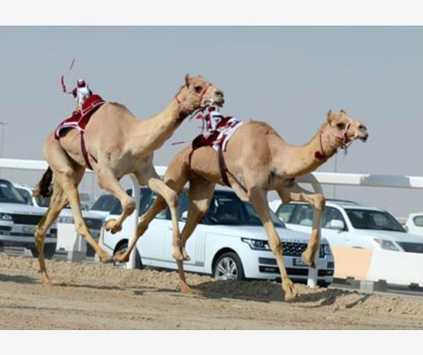 alarab