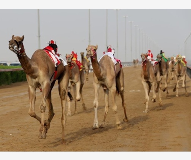 alarab