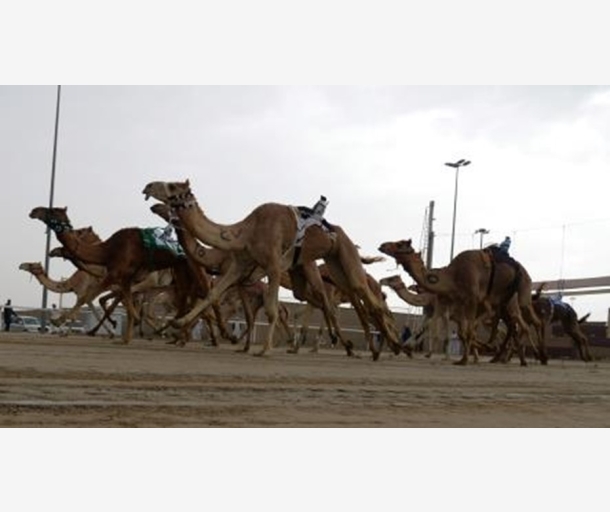 alarab
