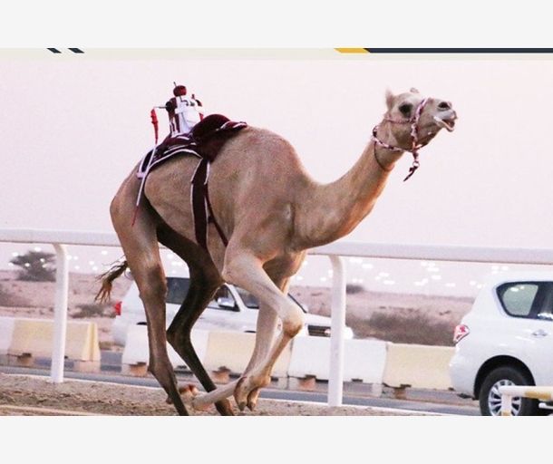 alarab