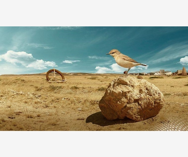 alarab