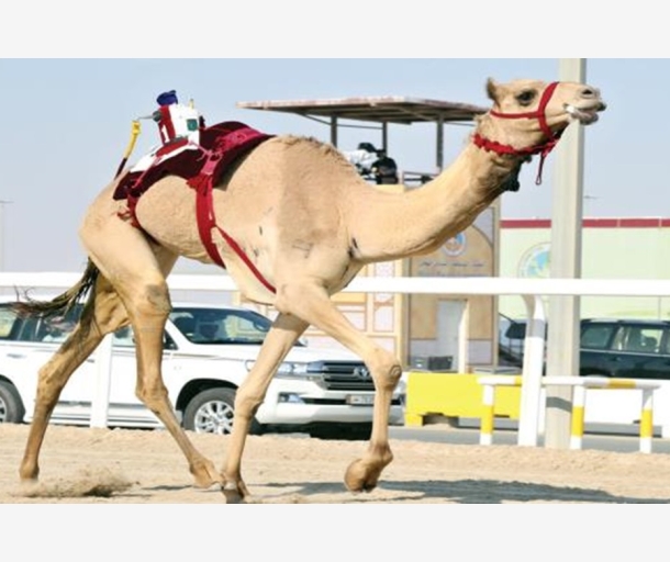 alarab