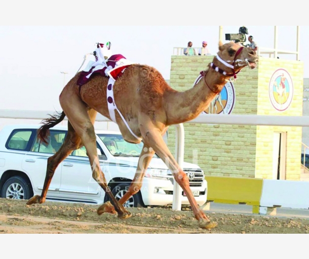 alarab