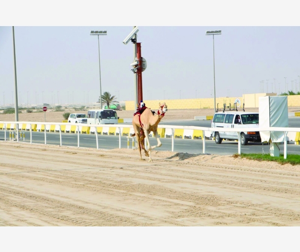 alarab