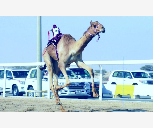 alarab