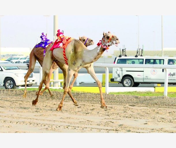 alarab