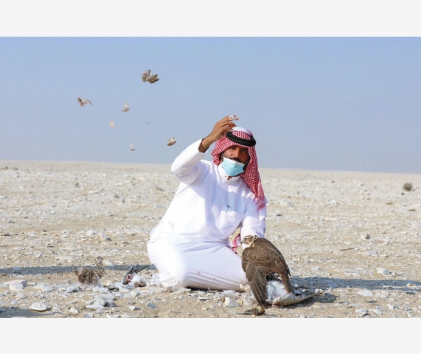 alarab