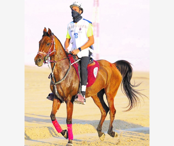alarab