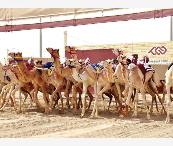 alarab