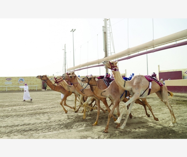 alarab