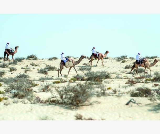 alarab