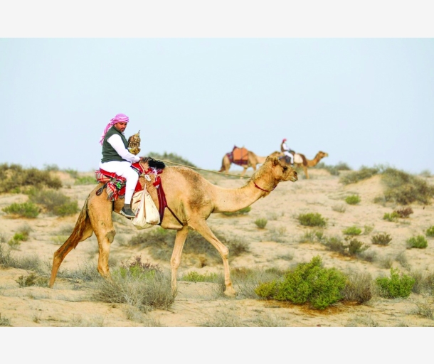 alarab
