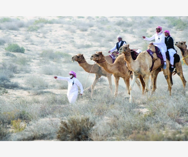 alarab