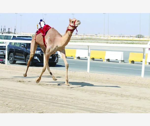 alarab
