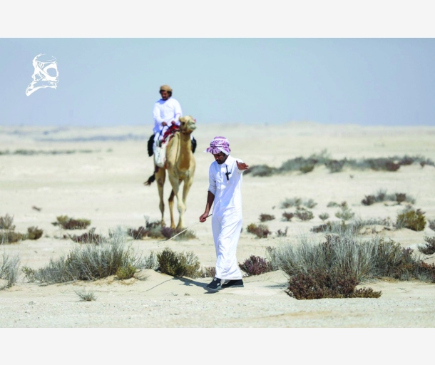 alarab