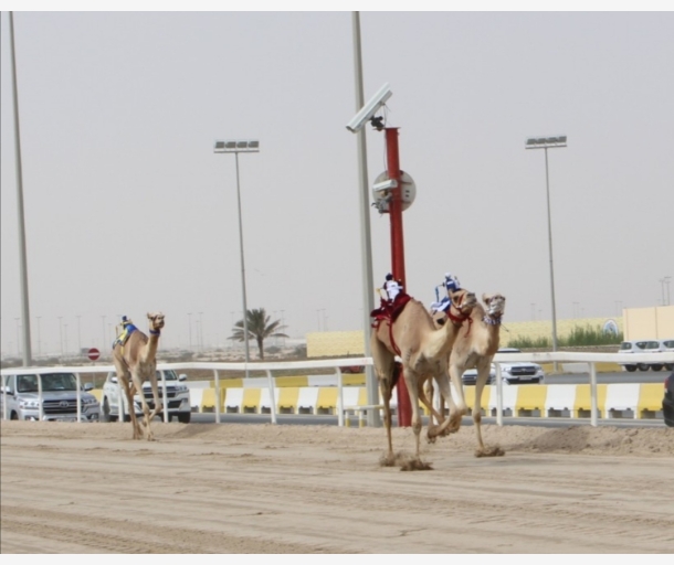 alarab