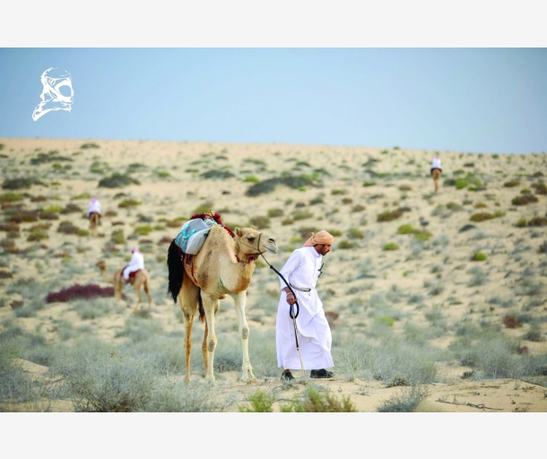 alarab