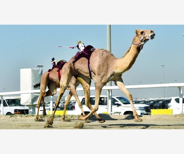 alarab