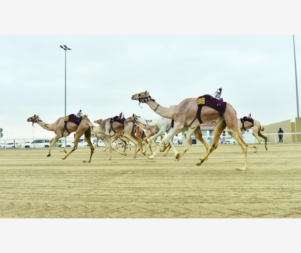 alarab