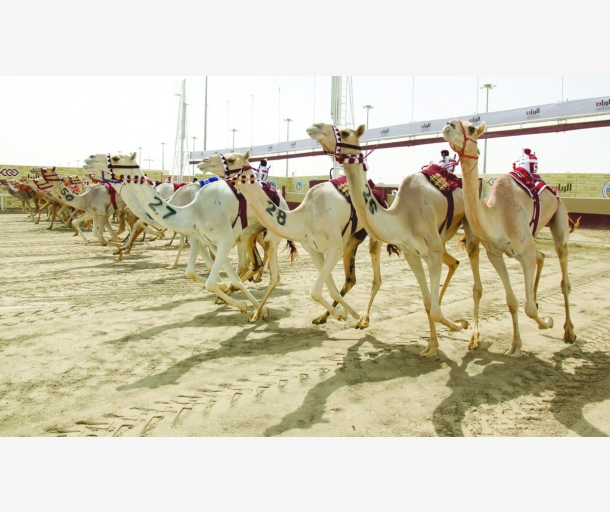 alarab