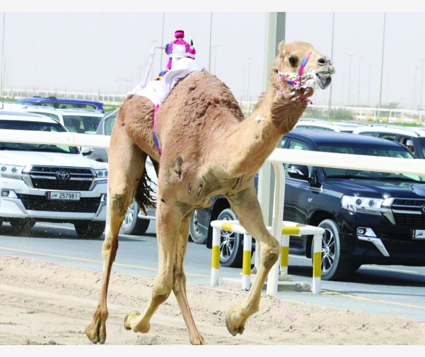 alarab