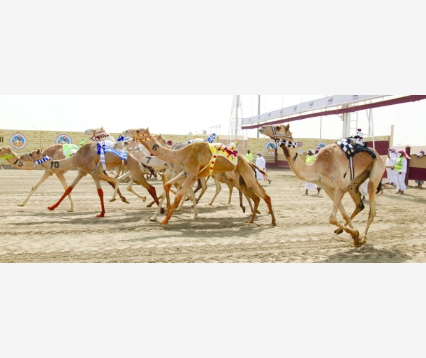 alarab
