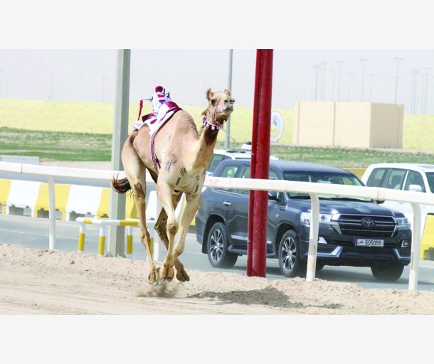 alarab