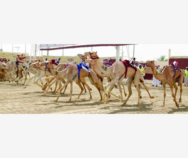 alarab