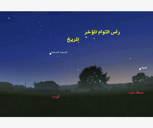 alarab