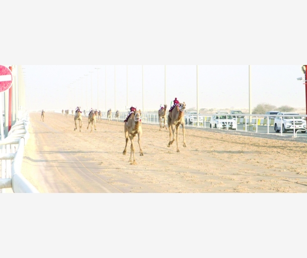 alarab