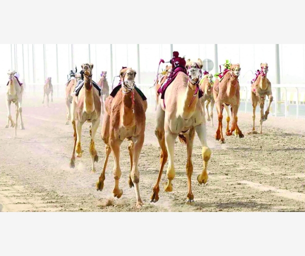 alarab