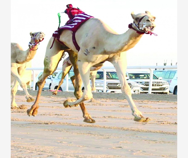 alarab