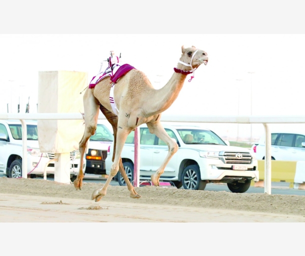 alarab