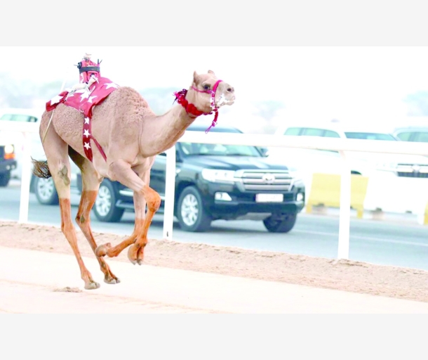 alarab