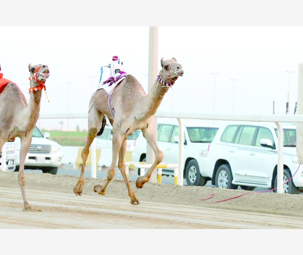 alarab
