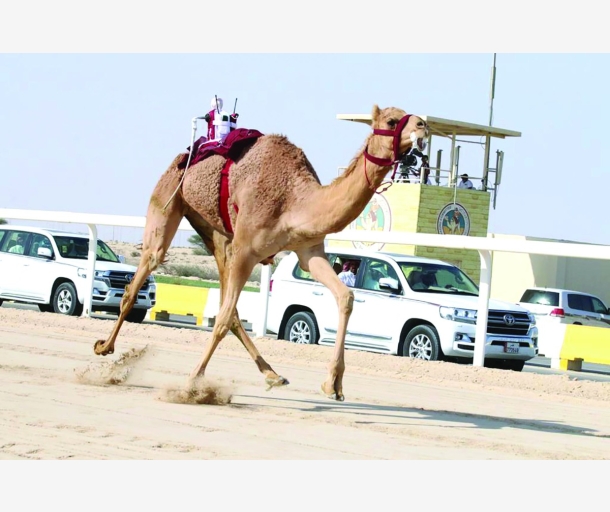 alarab