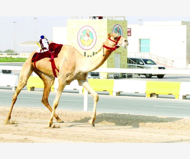 alarab